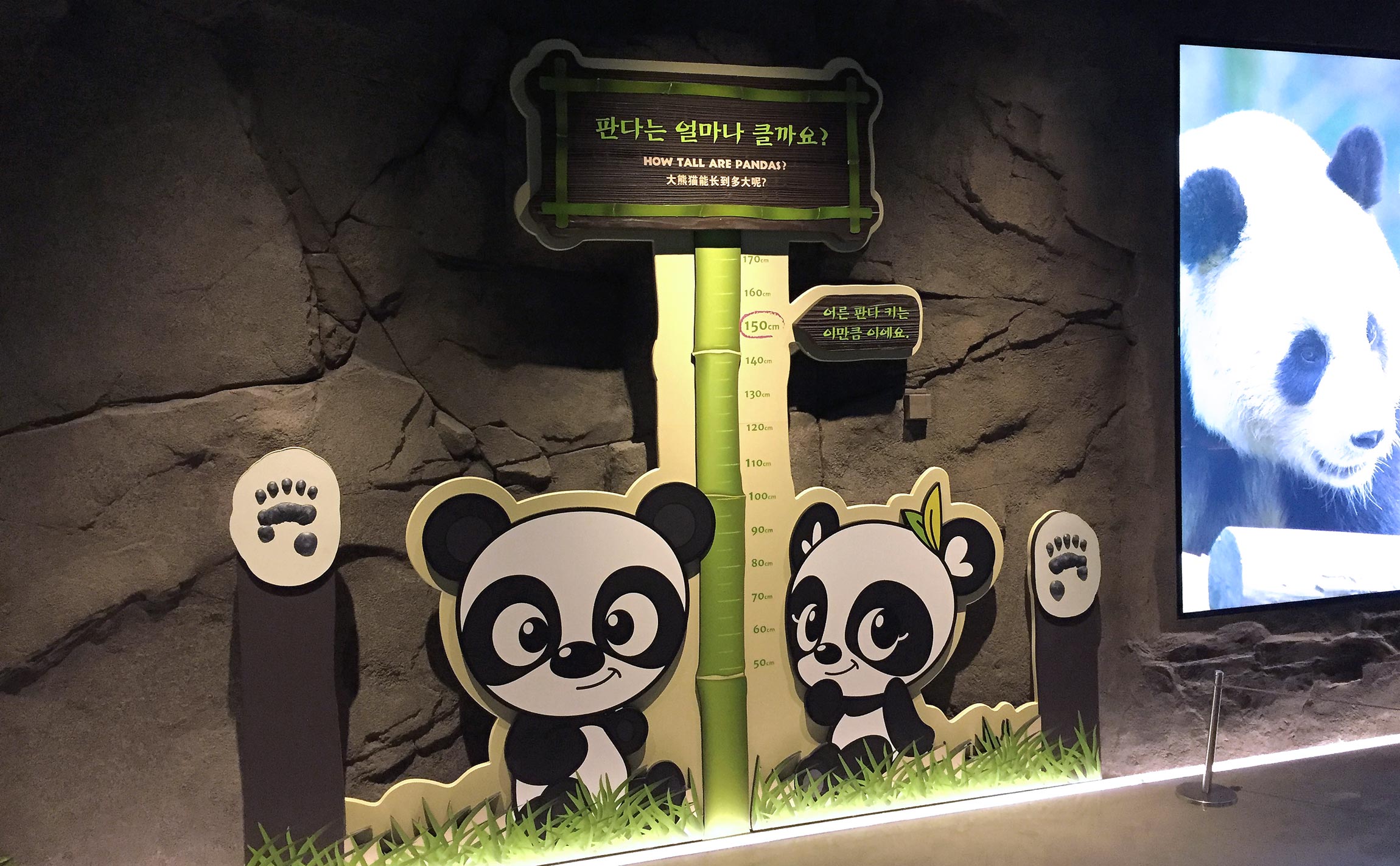 Panda World 에버랜드 전시, 행사, 환경, 공간 pandaworld-sign-1.jpg
